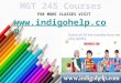 MGT 245 Courses/Indigohelp