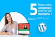 5 Reason Why WordPress Better for Your Business