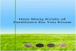 How Many Kinds of Fertilizers Do You Know