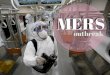 MERS outbreak