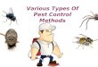 Various Types Of Pest Control Methods