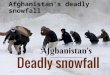 Afghanistan's deadly snowfall