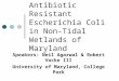 Antibiotic Resistant Escherichia Coli in Non-Tidal Wetlands of Maryland