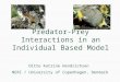 Predator-Prey Interactions in an Individual Based Model