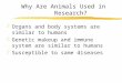 Why Are Animals Used in              Research?