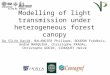 Modelling of light transmission under heterogeneous forest canopy