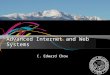 Advanced Internet and Web Systems