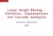Large Graph Mining - Patterns, Explanations and Cascade Analysis