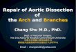 Repair  of  Aortic Dissection of  the  Arch  and  Branches