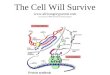 The Cell Will Survive africangreyparrott to to tune of I Will Survive by Gloria Gaynor