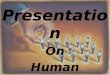 Presentation On Human Resource Management