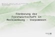 Förderung der Forstwirtschaft in Mecklenburg - Vorpommern