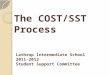 The COST/SST Process