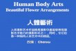 Human Body Arts Beautiful Flower Arrangements             人體藝術