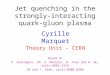 Jet quenching  in  the  strongly- interacting quark-gluon  plasma