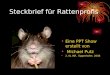 Steckbrief für Rattenprofis