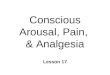 Conscious Arousal, Pain,  & Analgesia