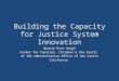 Building the Capacity for Justice System Innovation