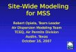 Site-Wide Modeling for MSS