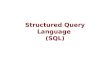 Structured Query Language  (SQL)