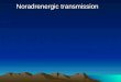 Noradrenergic transmission