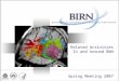 mBIRN Related Activities In and Around BWH
