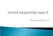 Virov  hepatit­da  typu E