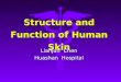 Structure and Function of Human Skin