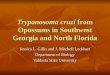 Trypanosoma cruzi  from Opossums in Southwest Georgia and North Florida