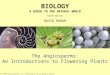 The Angiosperms: An Introductions to Flowering Plants