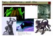 Pan, Cerberus, and the Centaurs:  Genetic Engineering