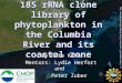 18S rRNA clone library of phytoplankton in the Columbia River and its coastal zone