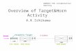 Overview of Target&Horn Activity