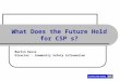 What Does the Future Hold for CSP s?