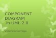 COMPONENT DIAGRAM  in UML 2.0 Veronica Carrega