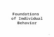 Foundations  of Individual Behavior