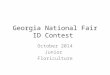 Georgia National Fair ID Contest