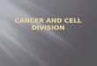 Cancer and Cell Division