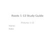 Roots  1-13 Study Guide