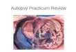 Autopsy Practicum Review