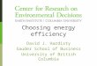 Choosing energy efficiency