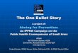 The One Bullet Story A project of: Aiming for Prevention: An IPPNW Campaign on the