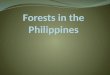 Forests in the Philippines
