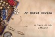 AP World Review