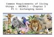 Common Requirements of living things - ANIMALS – Chapter  5   Pt  C: Exchanging  Gases