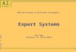 INFO 629 Concepts in Artificial Intelligence Expert Systems Fall 2004 Professor: Dr. Rosina Weber