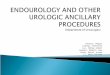 ENDOUROLOGY AND OTHER UROLOGIC ANCILLARY PROCEDURES Department of  Urosurgery