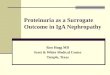 Proteinuria as a Surrogate Outcome in IgA Nephropathy