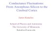 Conductance Fluctuations:  From Amorphous Silicon to the Cerebral Cortex