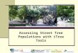 Assessing Street Tree Populations with iTree Tools